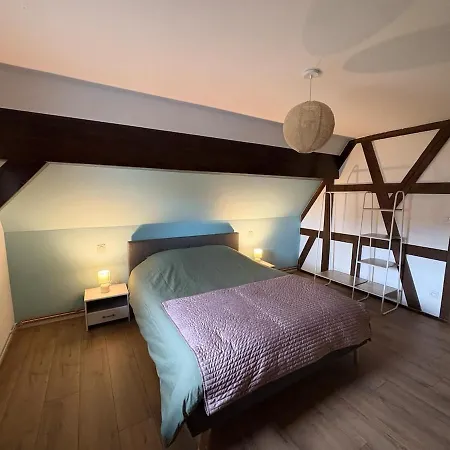 Charming Alsatian House * Beinheim